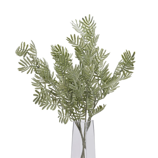 Silver Wattle Leaf - Canwell Interiors Limited - Hills