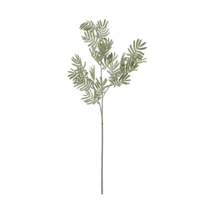 Silver Wattle Leaf - Canwell Interiors Limited - Hills