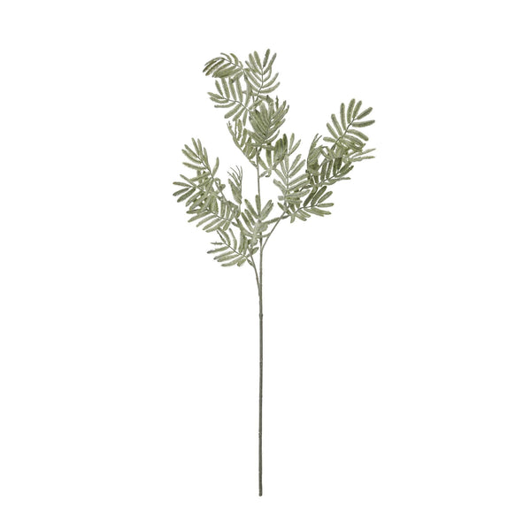 Silver Wattle Leaf - Canwell Interiors Limited - Hills