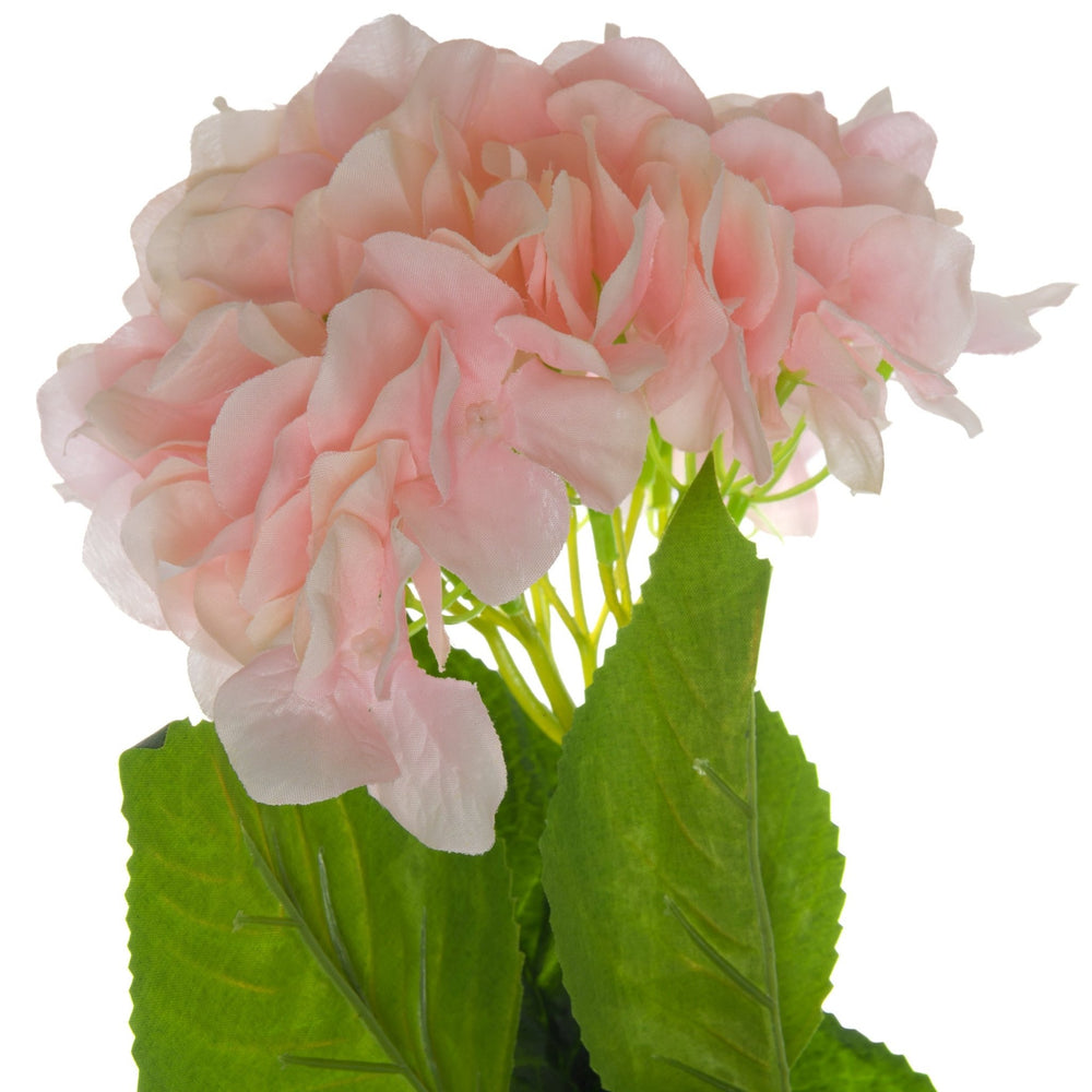 Single Pink Hydrangea - Canwell Interiors Limited - Hills