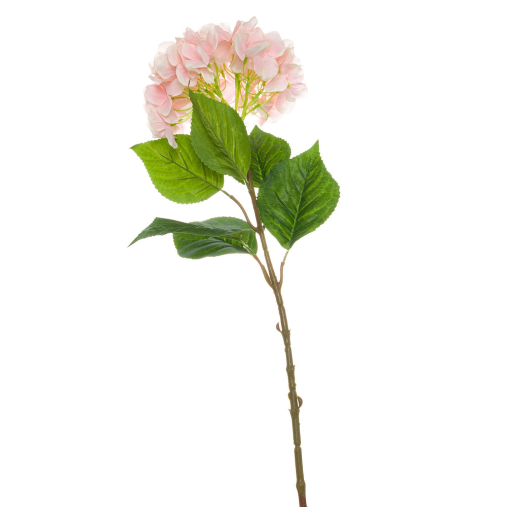 Single Pink Hydrangea - Canwell Interiors Limited - Hills
