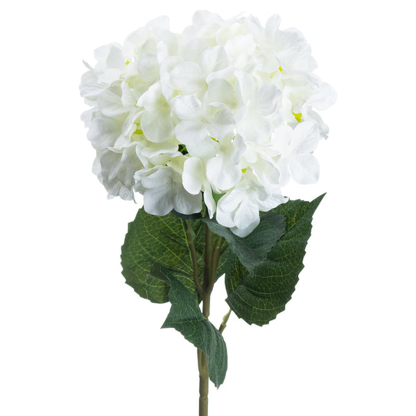 Single White Hydrangea - Canwell Interiors Limited - Hills