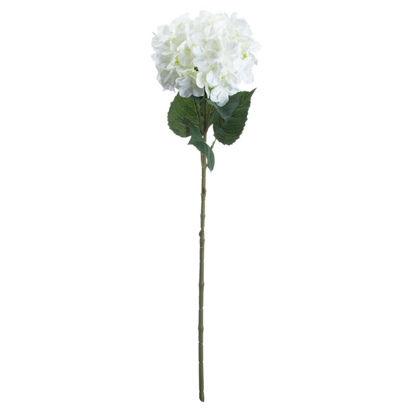 Single White Hydrangea - Canwell Interiors Limited - Hills