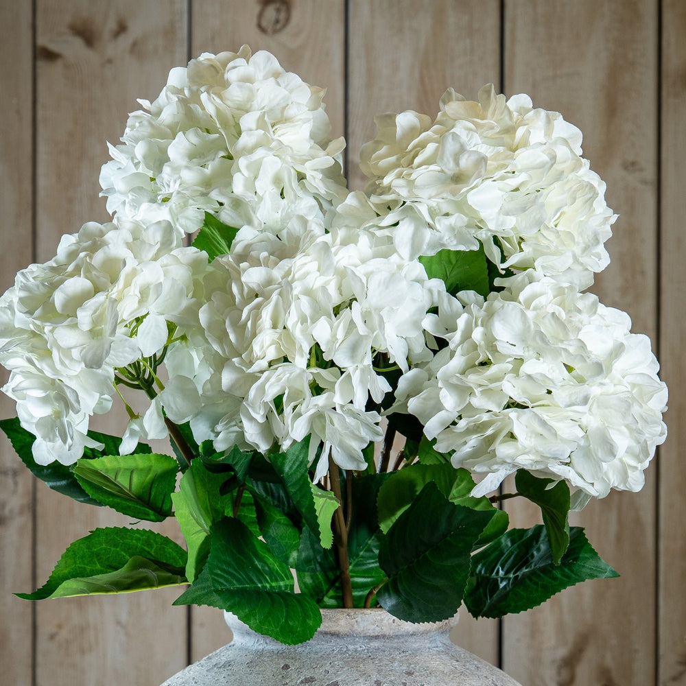 Single White Hydrangea - Canwell Interiors Limited - Hills