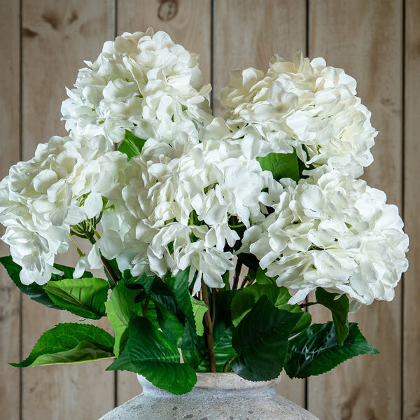 Single White Hydrangea - Canwell Interiors Limited - Hills