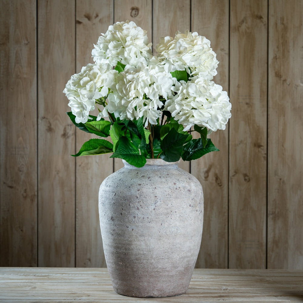 Single White Hydrangea - Canwell Interiors Limited - Hills