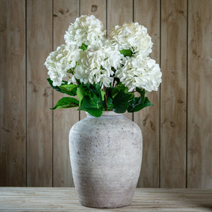 Single White Hydrangea - Canwell Interiors Limited - Hills