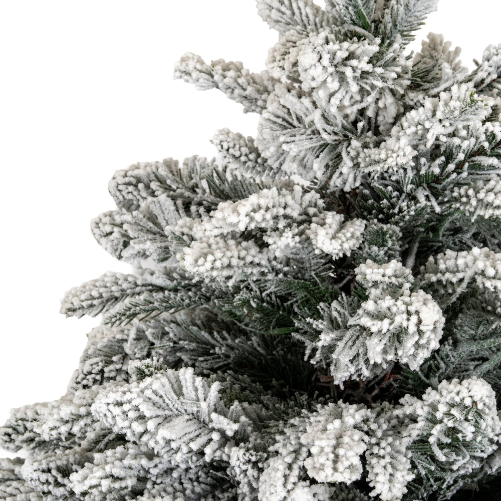 Snowy Norway Fir Pre - Lit Led 300L Fir Tree In Rattan Pot - Canwell Interiors Limited - Hills