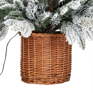 Snowy Norway Fir Pre - Lit Led 300L Fir Tree In Rattan Pot - Canwell Interiors Limited - Hills