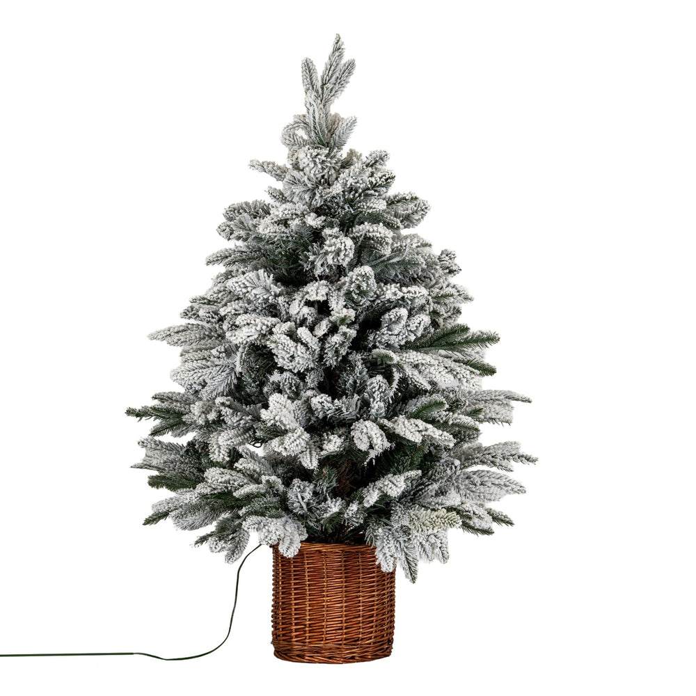 Snowy Norway Fir Pre - Lit Led 300L Fir Tree In Rattan Pot - Canwell Interiors Limited - Hills