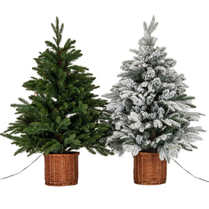 Snowy Norway Fir Pre - Lit Led 300L Fir Tree In Rattan Pot - Canwell Interiors Limited - Hills