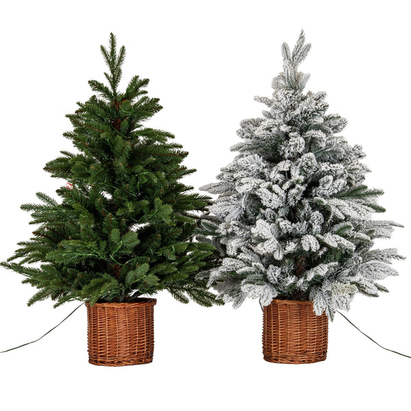 Snowy Norway Fir Pre - Lit Led 300L Fir Tree In Rattan Pot - Canwell Interiors Limited - Hills