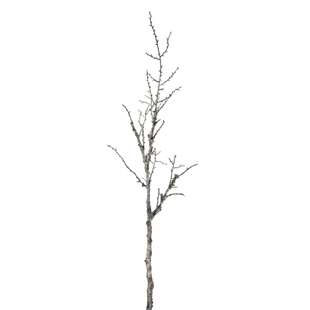 Snowy Winter Woodland Branch - Canwell Interiors Limited - Hills