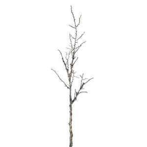 Snowy Winter Woodland Branch - Canwell Interiors Limited - Hills