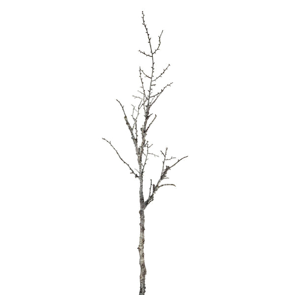 Snowy Winter Woodland Branch - Canwell Interiors Limited - Hills