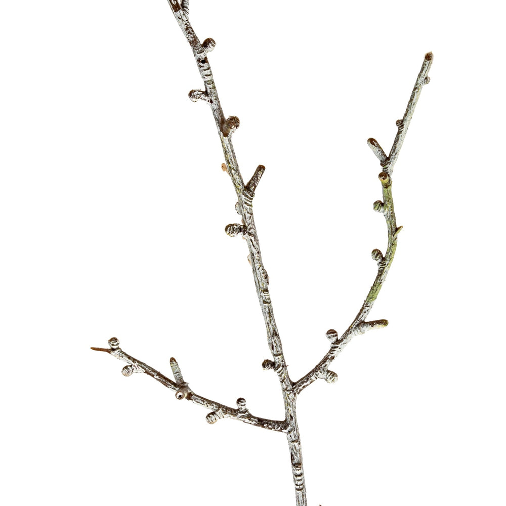 Snowy Winter Woodland Branch - Canwell Interiors Limited - Hills