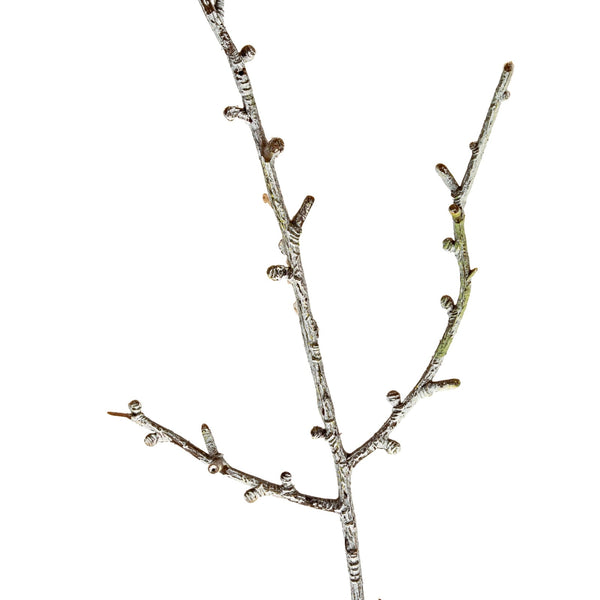 Snowy Winter Woodland Branch - Canwell Interiors Limited - Hills