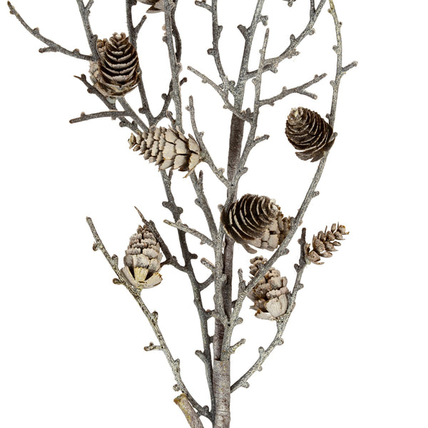 Snowy Winter Woodland Branch With Pinecones - Canwell Interiors Limited - Hills