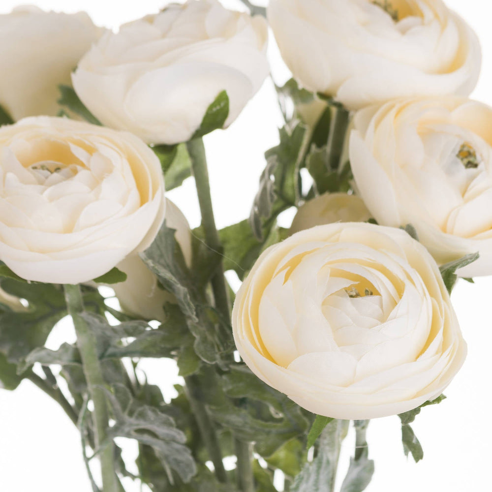 Soft Cream Ranunculus - Canwell Interiors Limited - Hills