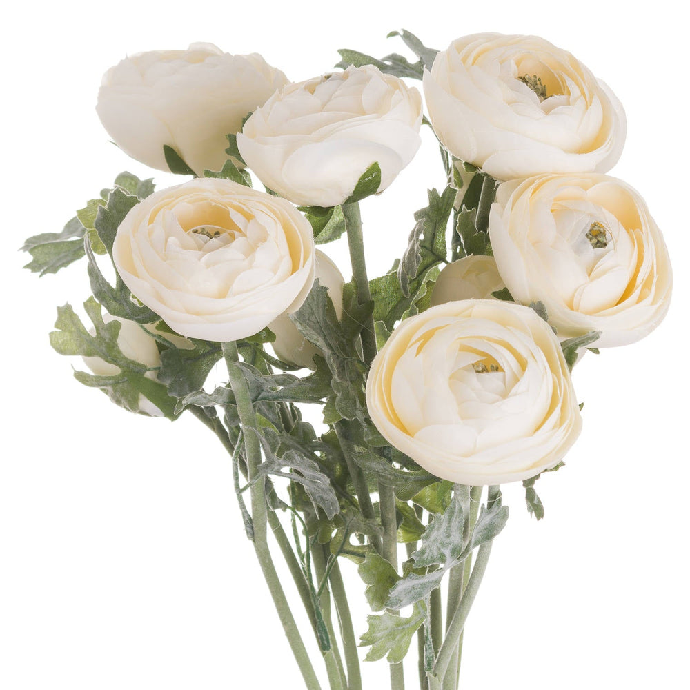 Soft Cream Ranunculus - Canwell Interiors Limited - Hills