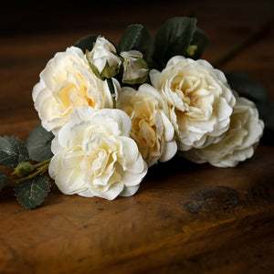 Soft White Cottage Rose Stem - Canwell Interiors Limited - Hills