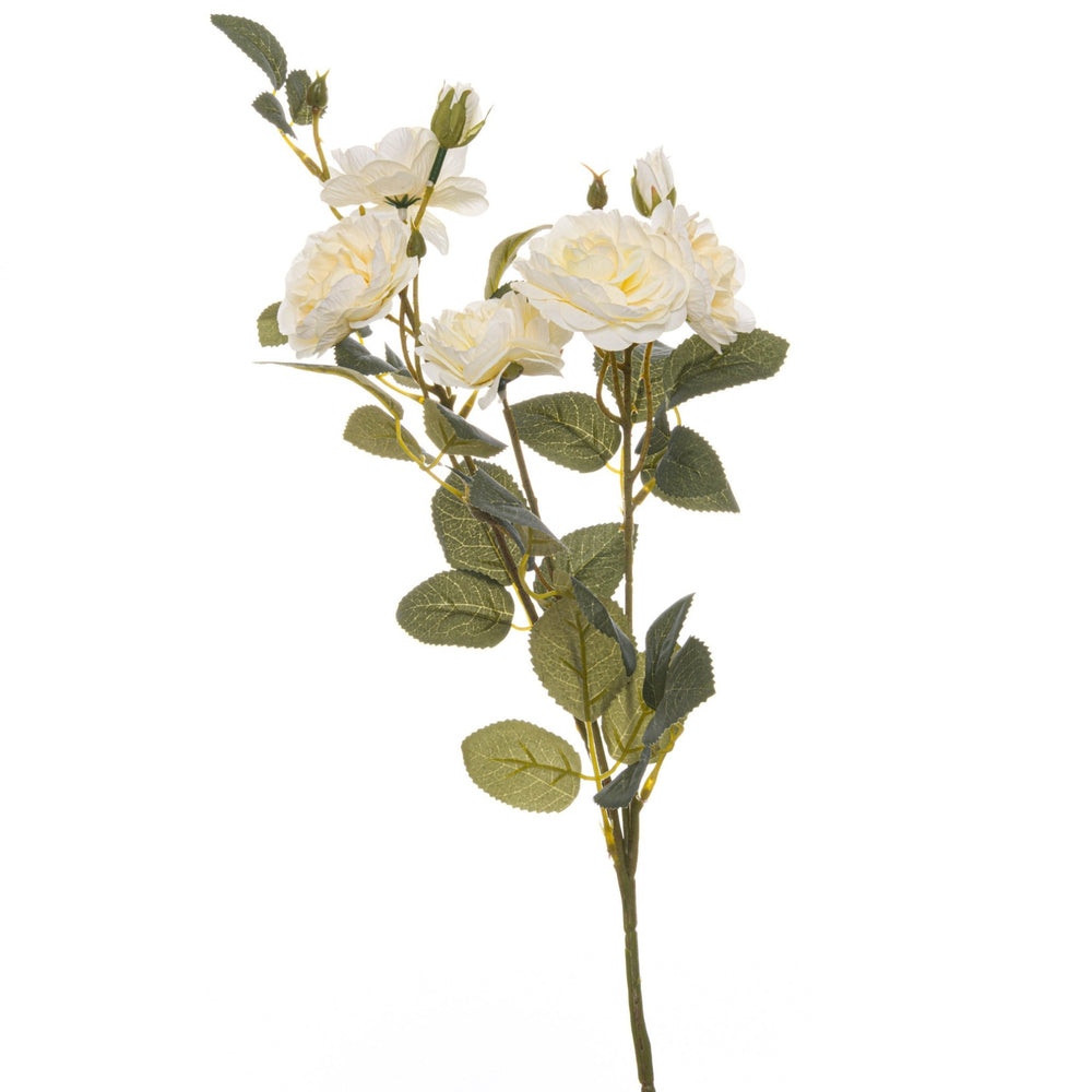 Soft White Cottage Rose Stem - Canwell Interiors Limited - Hills