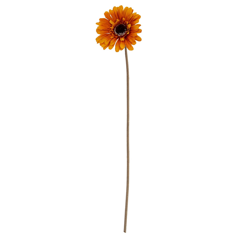 Soft Yellow Gerbera Stem - Canwell Interiors Limited - Hills