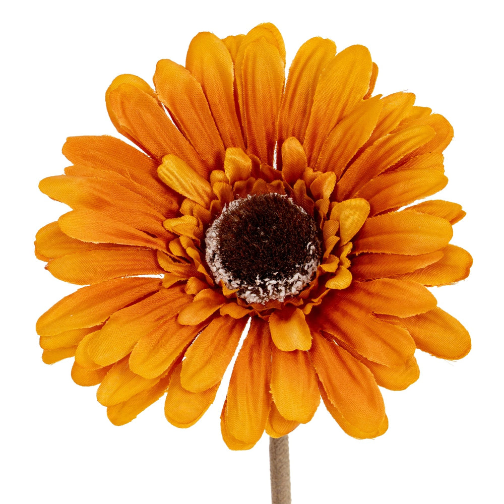 Soft Yellow Gerbera Stem - Canwell Interiors Limited - Hills