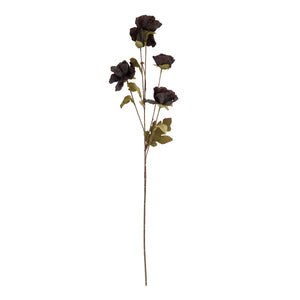 Tall Black Poppy Stem - Canwell Interiors Limited - Hills