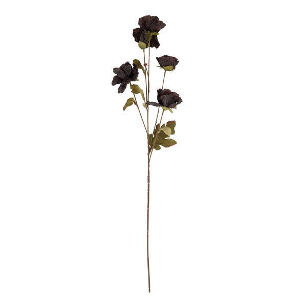 Tall Black Poppy Stem - Canwell Interiors Limited - Hills