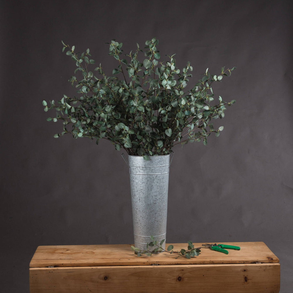 Tall Eucalyptus Stem - Canwell Interiors Limited - Hills