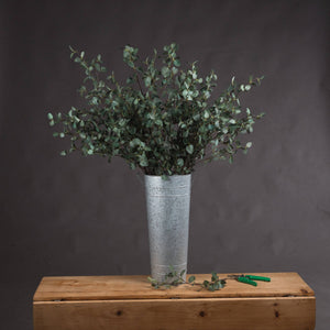 Tall Eucalyptus Stem - Canwell Interiors Limited - Hills