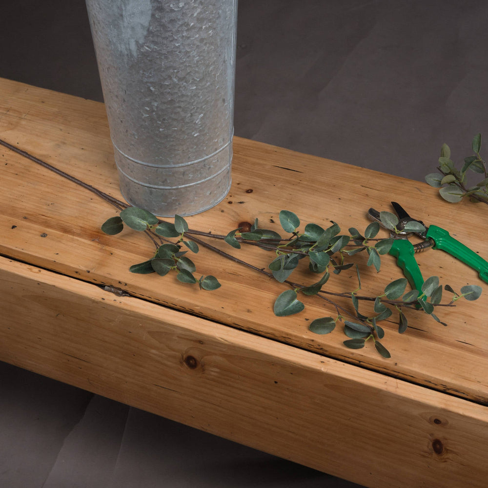 Tall Eucalyptus Stem - Canwell Interiors Limited - Hills