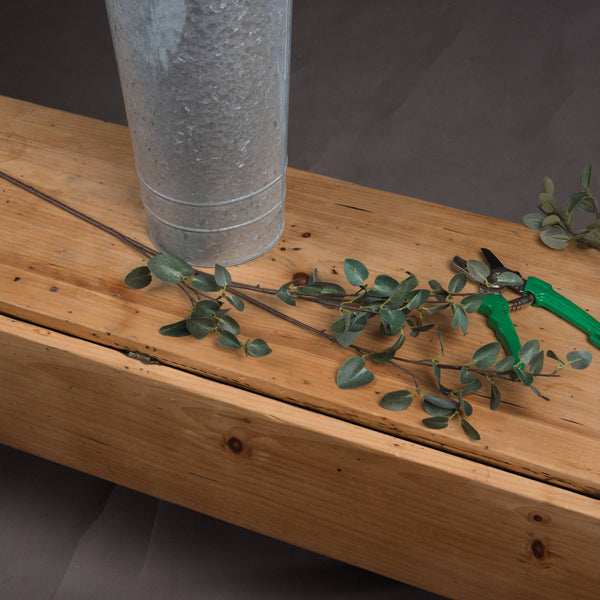 Tall Eucalyptus Stem - Canwell Interiors Limited - Hills