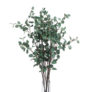 Tall Eucalyptus Stem - Canwell Interiors Limited - Hills