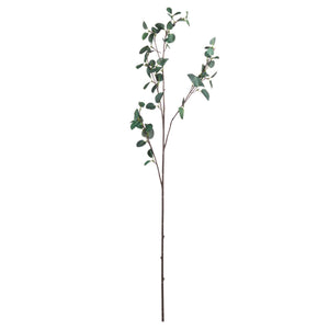 Tall Eucalyptus Stem - Canwell Interiors Limited - Hills