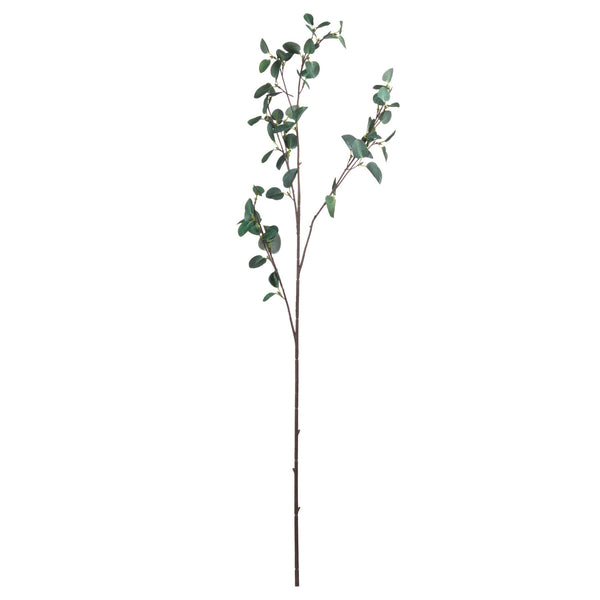 Tall Eucalyptus Stem - Canwell Interiors Limited - Hills