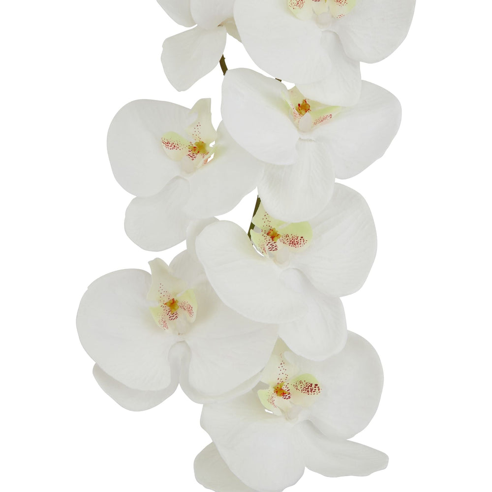 Tall White Butterfly Orchid Stem - Canwell Interiors Limited - Hills