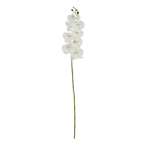 Tall White Butterfly Orchid Stem - Canwell Interiors Limited - Hills
