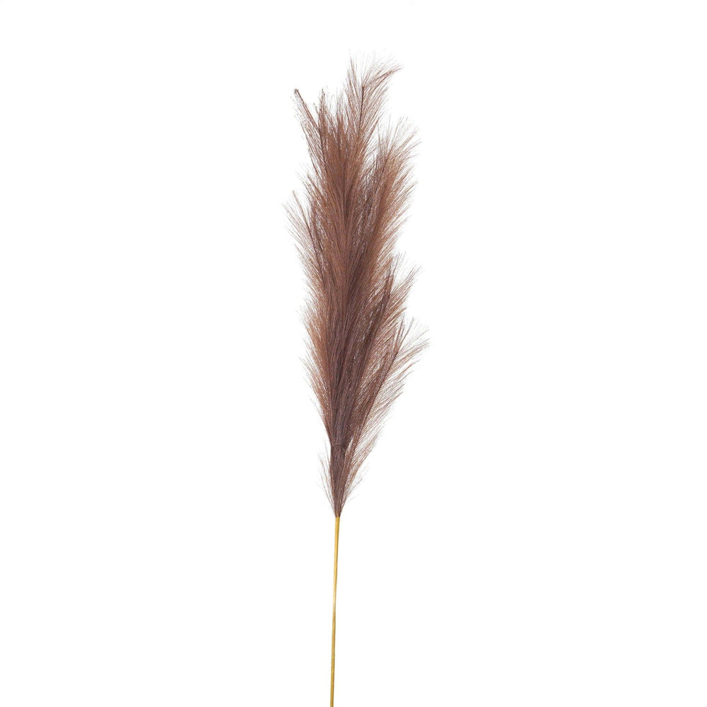 Taupe Large Faux Pampas Grass Stem - Canwell Interiors Limited - Hills