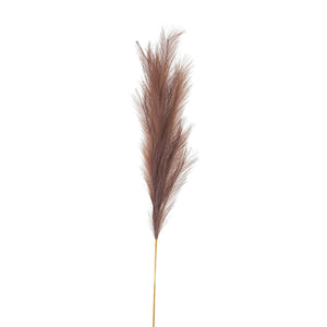 Taupe Large Faux Pampas Grass Stem - Canwell Interiors Limited - Hills