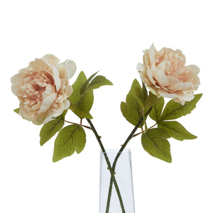 The Natural Garden Collection Blush Peony - Canwell Interiors Limited - Hills