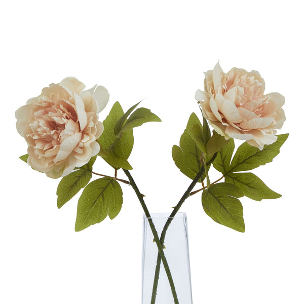 The Natural Garden Collection Blush Peony - Canwell Interiors Limited - Hills