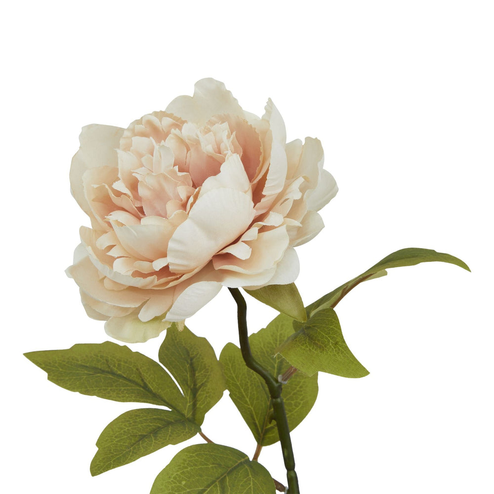 The Natural Garden Collection Blush Peony - Canwell Interiors Limited - Hills