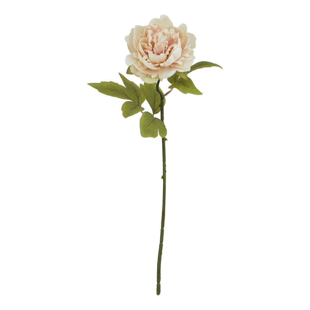 The Natural Garden Collection Blush Peony - Canwell Interiors Limited - Hills