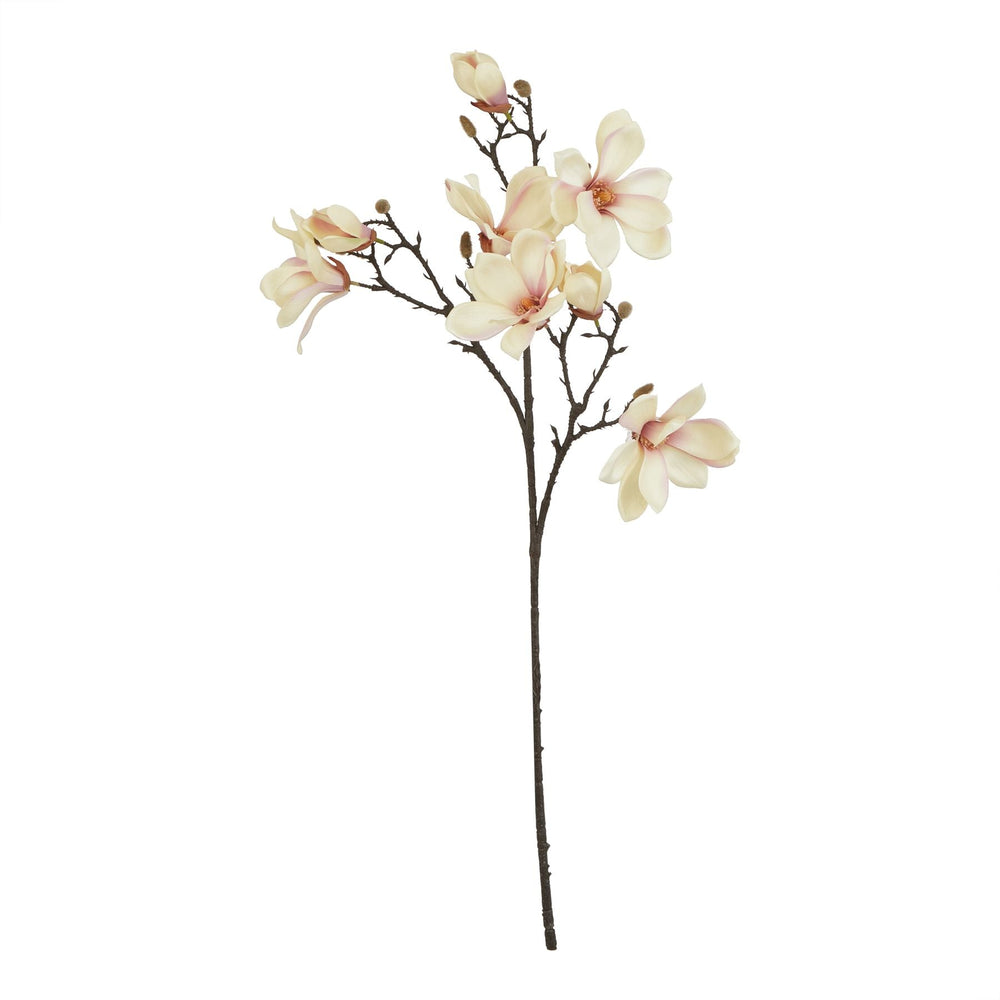 The Natural Garden Collection Pale Apricot Magnolia Stem - Canwell Interiors Limited - Hills