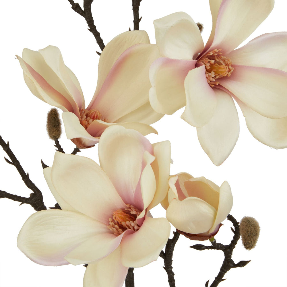 The Natural Garden Collection Pale Apricot Magnolia Stem - Canwell Interiors Limited - Hills