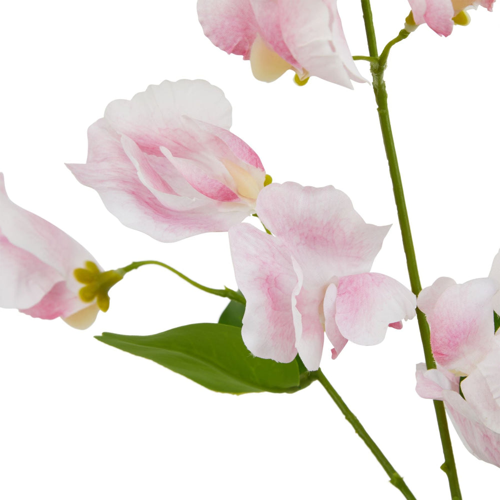 The Natural Garden Collection Pale Pink Sweetpea Stem - Canwell Interiors Limited - Hills