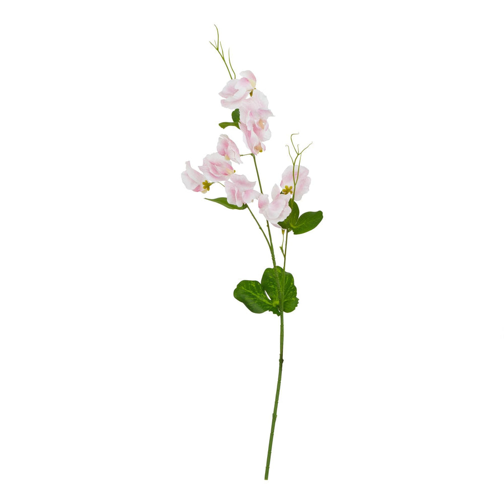 The Natural Garden Collection Pale Pink Sweetpea Stem - Canwell Interiors Limited - Hills