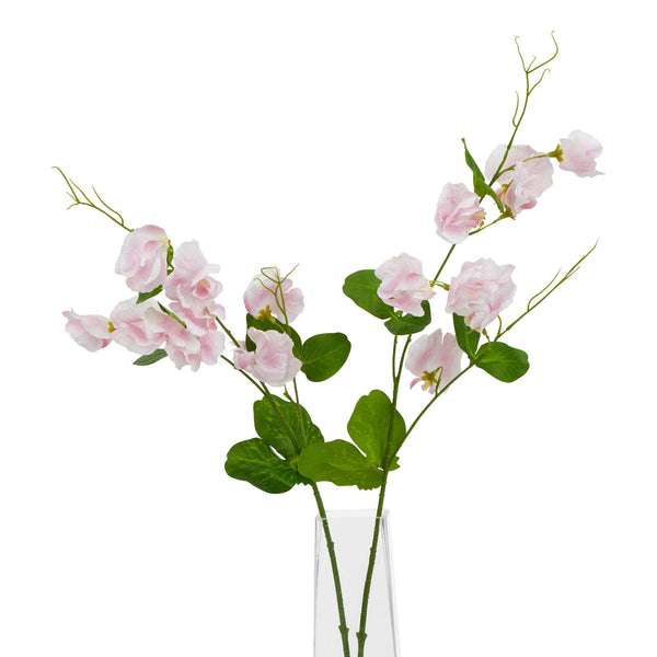 The Natural Garden Collection Pale Pink Sweetpea Stem - Canwell Interiors Limited - Hills